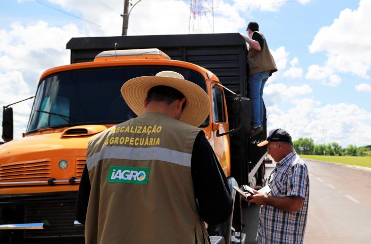 Governo de MS autoriza concurso com 29 vagas para fiscalização e defesa sanitária na Iagro