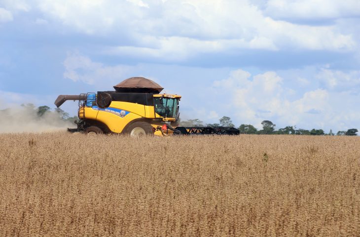 Nuffield Mato Grosso do Sul sedia evento mundial de agronegocio