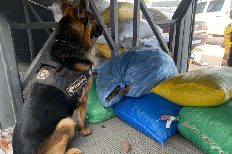 115 kg de drogas escondidas em sacas de pimenta são apreendidas pela Receita Federal em Corumbá
