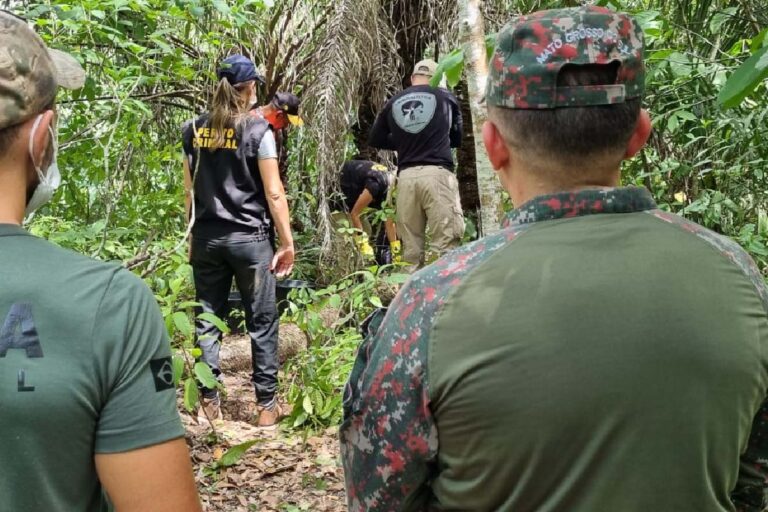Perícia em  Anajulia revela que sucuri não foi morta a tiros