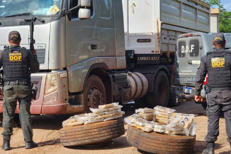 DOF aprende carreta com cocaína avaliada em R$ 6 milhões