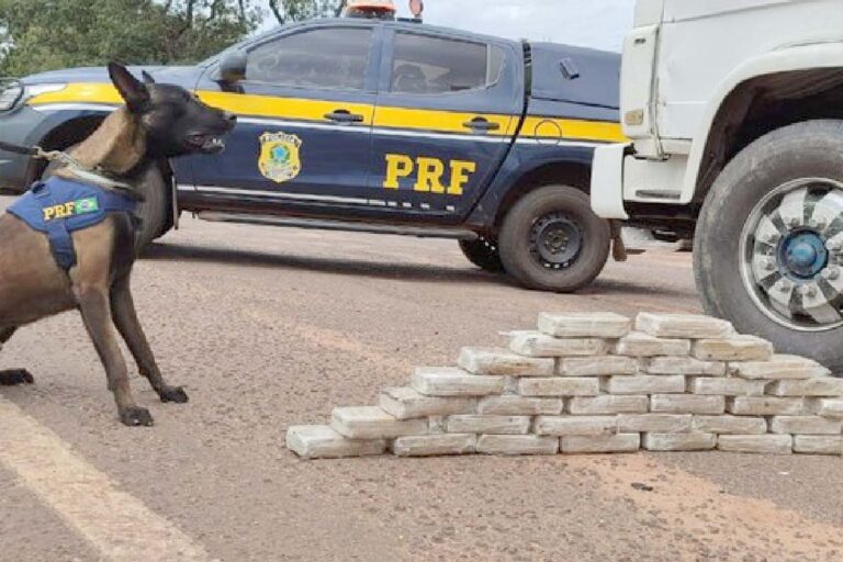 36 kg de cocaína são encontrados em compartimento oculto de caminhão na BR-262