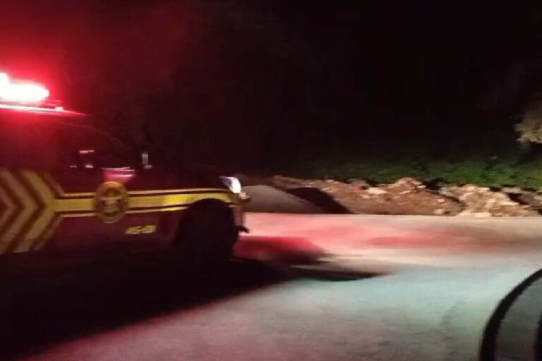 Onça-pintada é vista em área urbana de Corumbá e bombeiros emitem alerta | vídeo