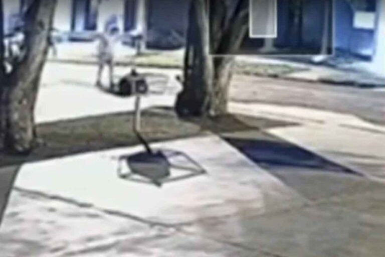 Homem que espancou gata até a morte é condenado a pagar R$ 20 mil em MS