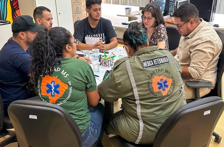 Órgão pede doações para animais vítimas das enchentes no Rio Grande do Sul