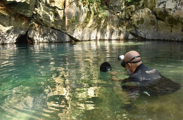 Cascudo ameaçado de extinção é avistado em caverna de Bonito após 20 anos