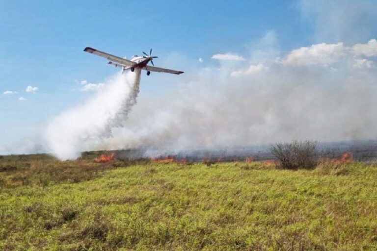 Pantanal: Incêndios persistem mesmo após combate com aeronave