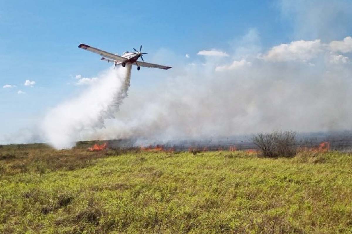 Leia mais sobre o artigo Pantanal: Incêndios persistem mesmo após combate com aeronave
