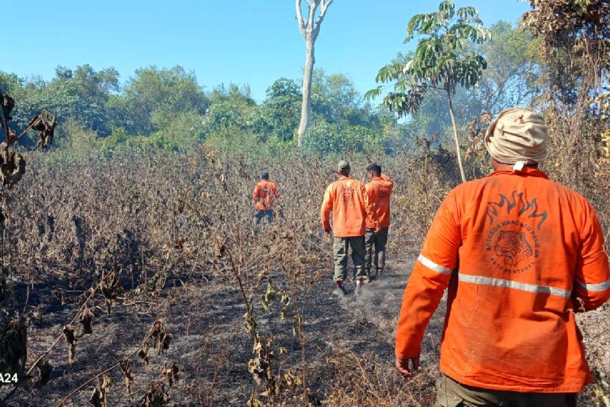 fogo na região do Paraguai-mirim