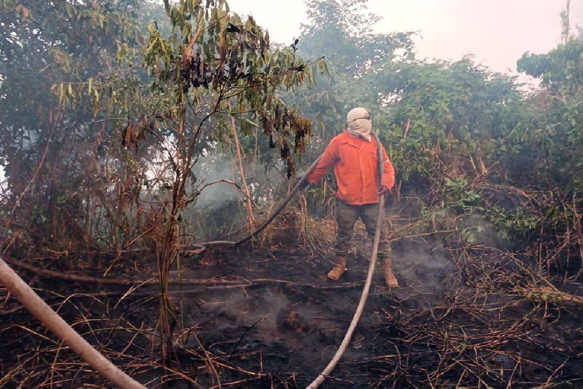 Você está visualizando atualmente Aulas em escola no Paraguai-Mirim são suspensas devido ao avanço do fogo no Pantanal