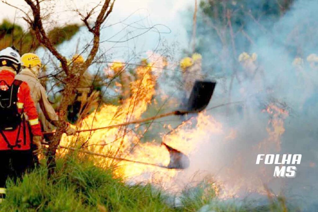Maior índice de incêndios das últimas duas décadas deixa o Pantanal sob manto de fumaça 2 combate incendios manto de fumaça