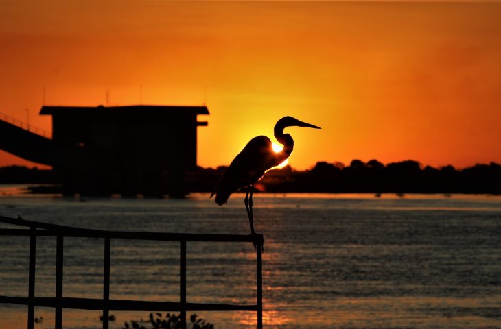 Sexta-feira tem previsão de tempo firme, com sol e baixa umidade do ar em MS