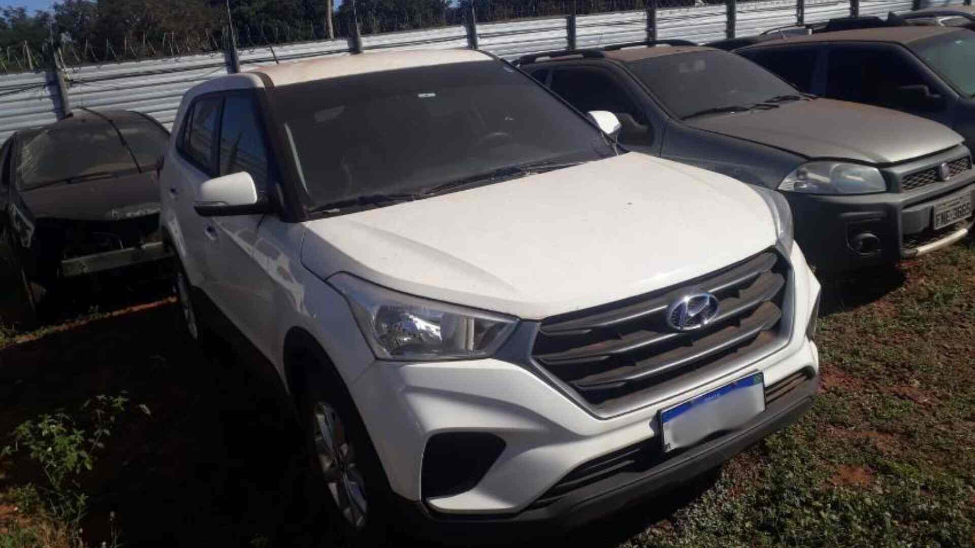 creta leilao