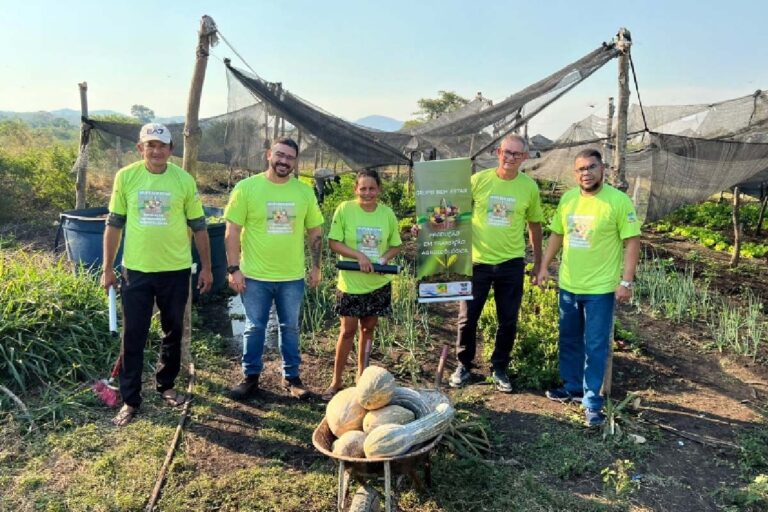 Pesquisa inovadora busca impulsionar vendas na feira do centro de Ladário