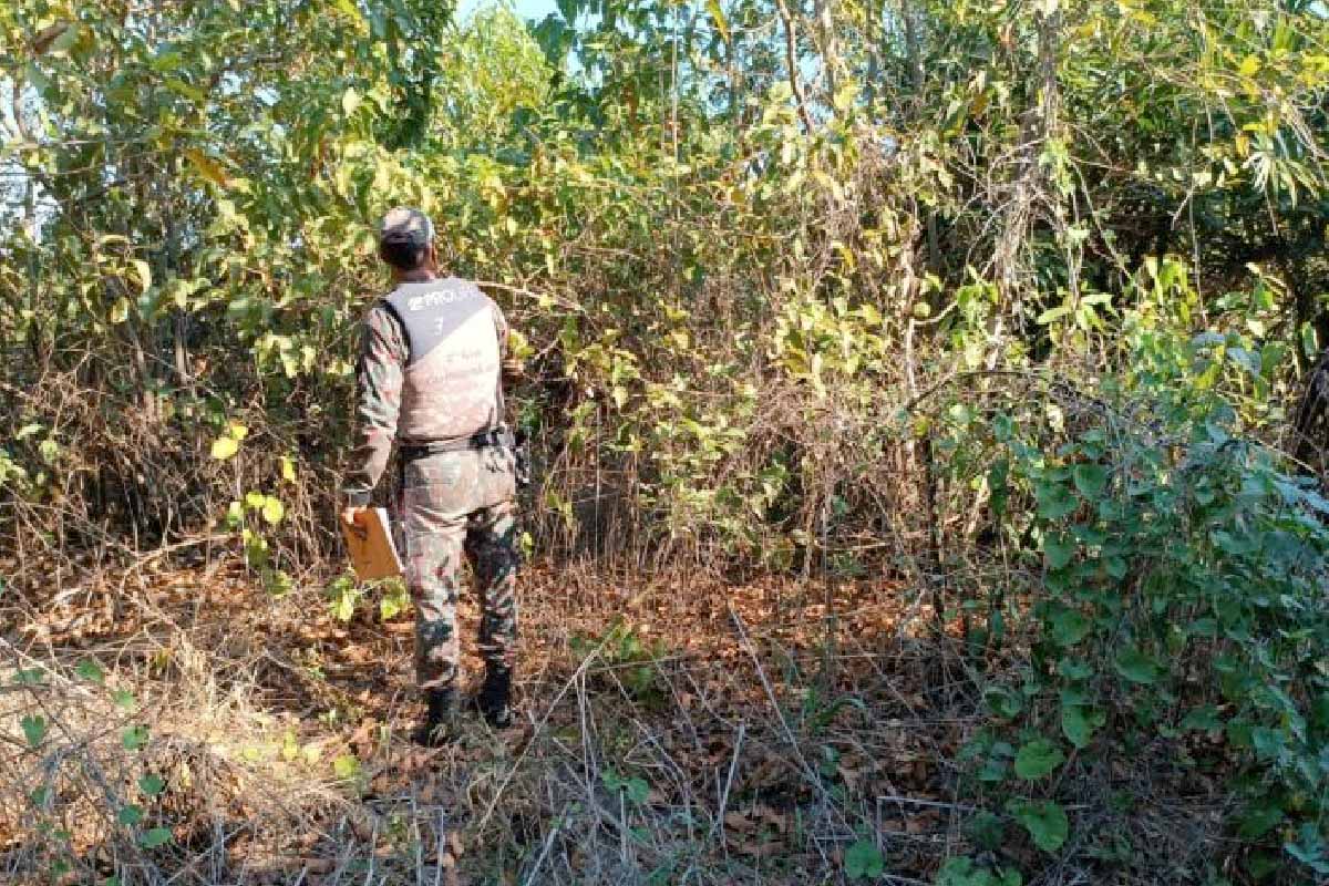 Você está visualizando atualmente Parceria entre Governo de MS e Ministério Público irá Investigar Incêndios no Pantanal