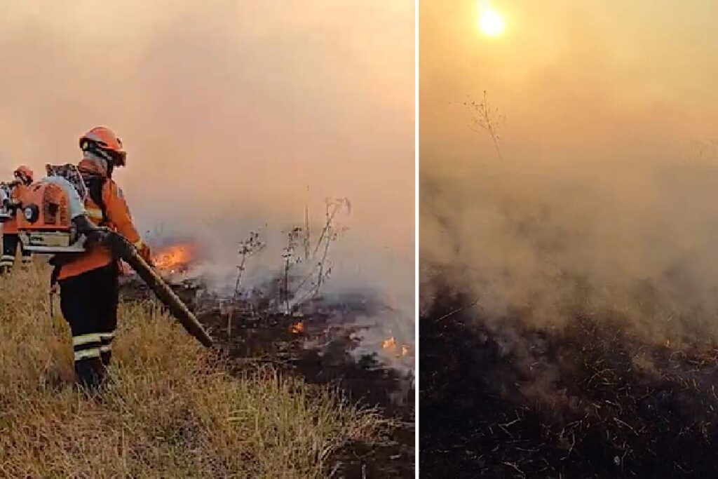 Bombeiros de MS adotam estratégias diversas nas linhas de combate ao fogo 3 Incêndios no Pantanal