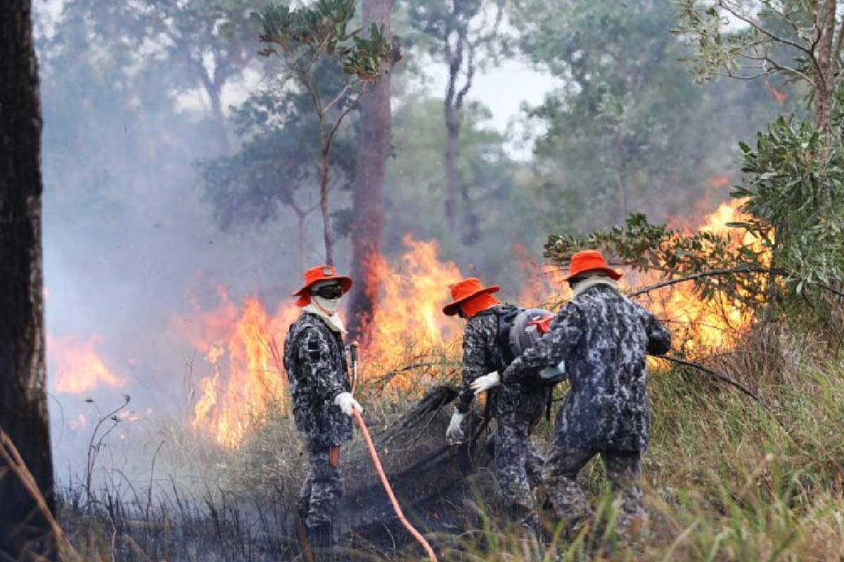 Você está visualizando atualmente Sob coordenação dos bombeiros de MS, Força Nacional já atua no combate ao fogo no Pantanal