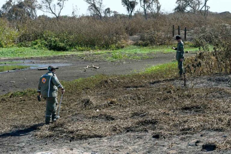 Pantanal em Chamas: Missão de resgate busca animais vítimas dos incêndios