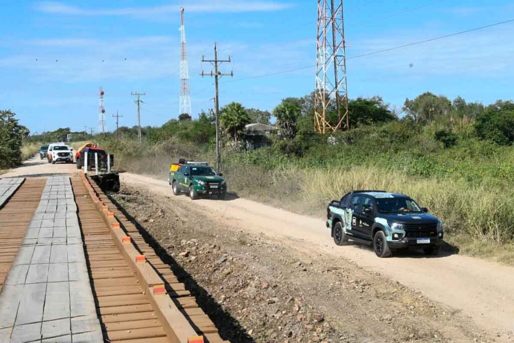 gretapi3 Pantanal