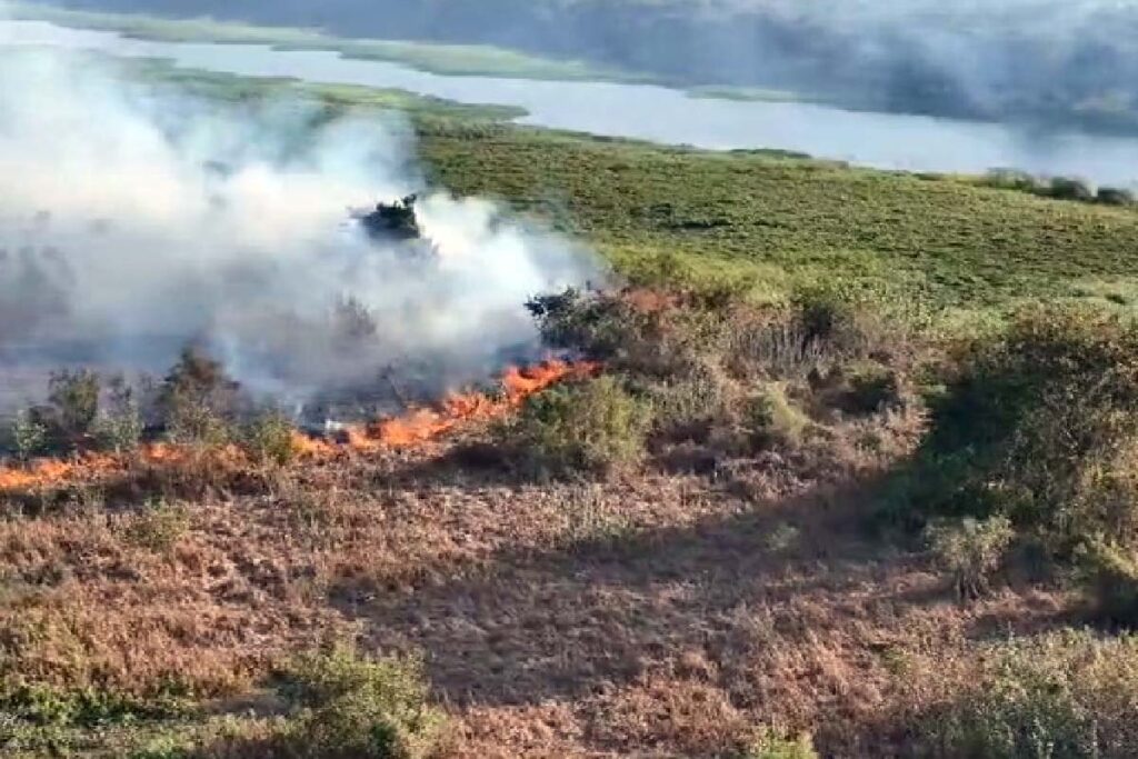 incendios pantanal1
