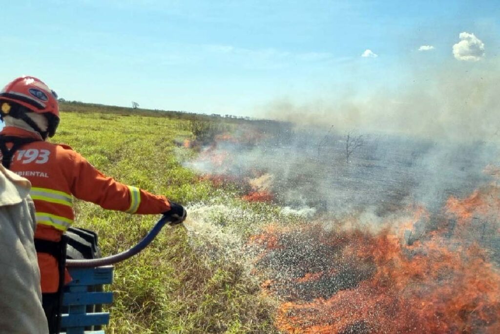 Pantanal 