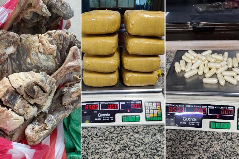 Operação conjunta apreende drogas, materiais ilegais e carne de Lhama em Corumbá