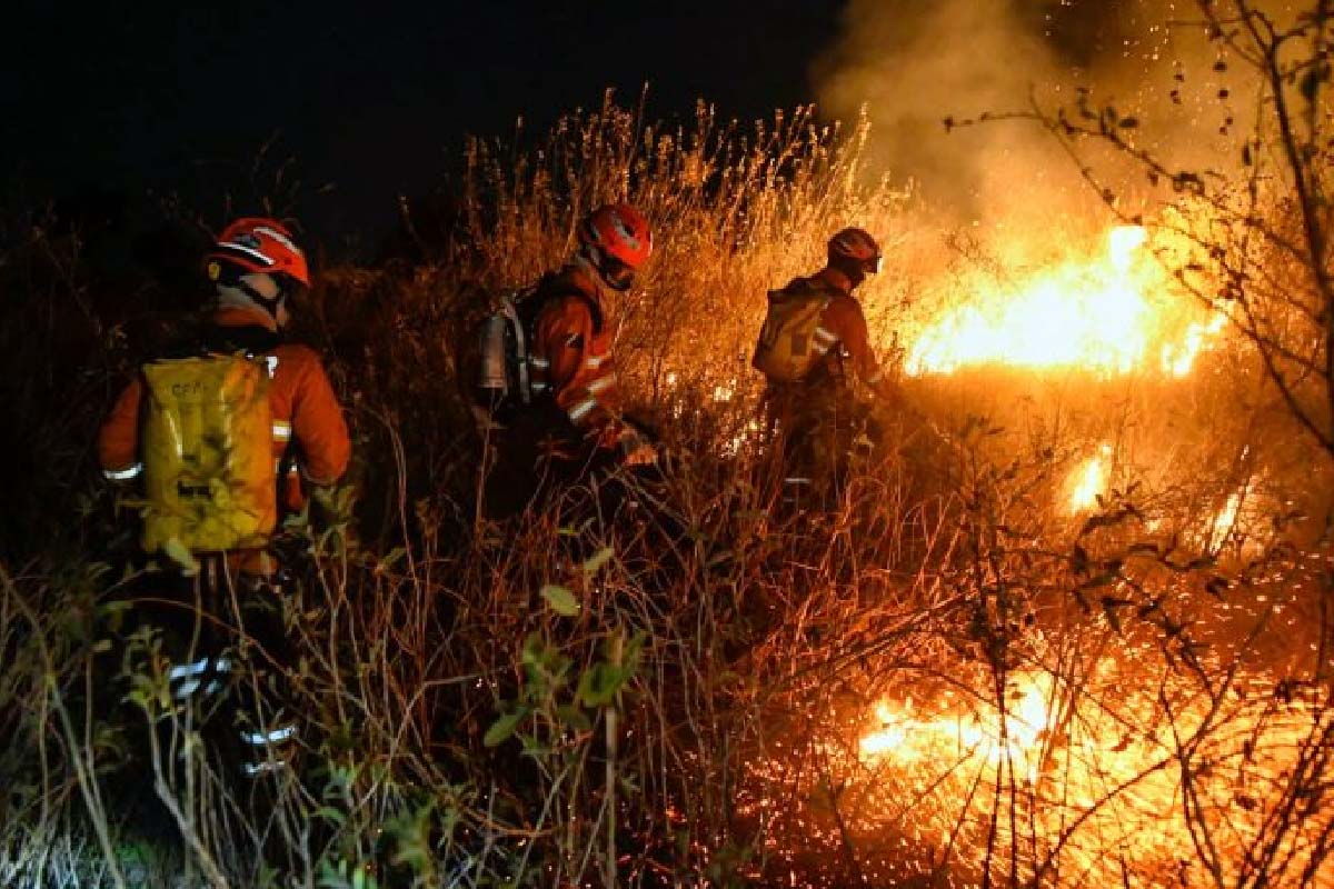 Você está visualizando atualmente Decreto de emergência em MS garante celeridade na resposta aos incêndios florestais no Estado