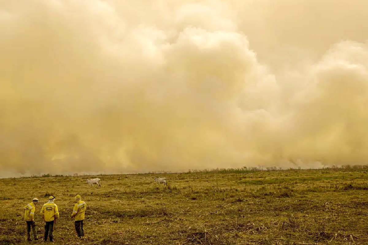 Leia mais sobre o artigo Queimada no Pantanal continua apesar da proibição de manejo do fogo