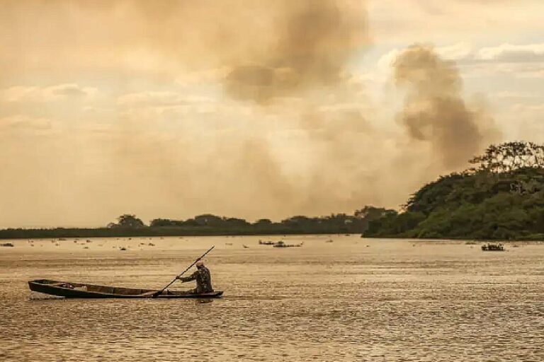 MP investiga fazendas por queimadas