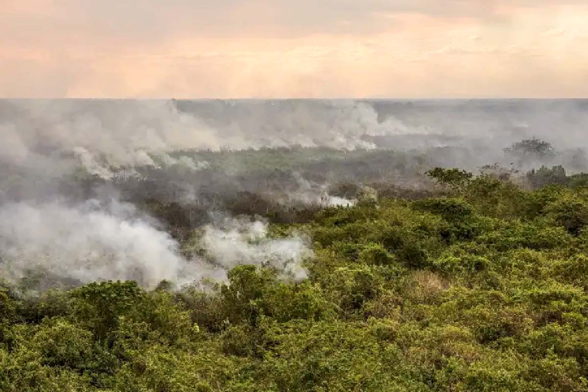 Leia mais sobre o artigo Pantanal poderá ter crise hídrica histórica em 2024, aponta estudo