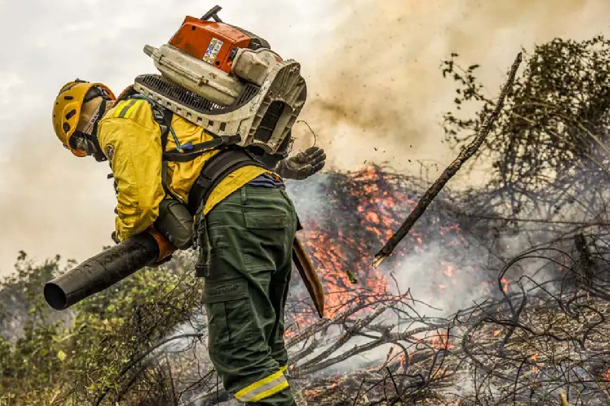 Leia mais sobre o artigo Governo anuncia R$ 514 milhões para combater incêndios florestais