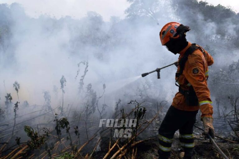 Sem chance de chuva significativa, seca pode piorar situação de incêndios no Pantanal