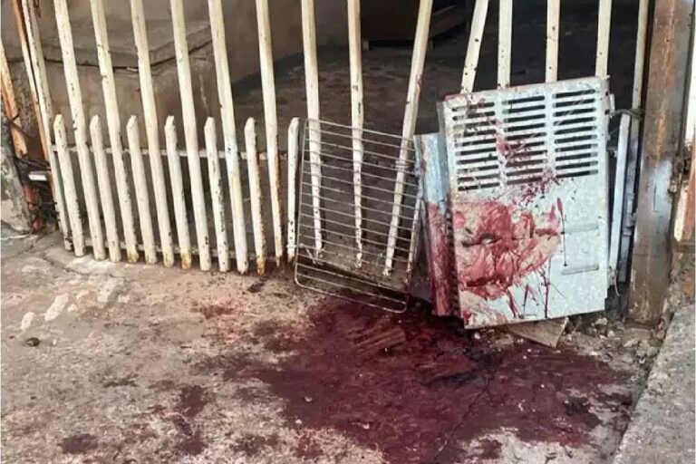 Pitbulls são mortos a tiros por PM ao atacar e matar cães em Campo Grande