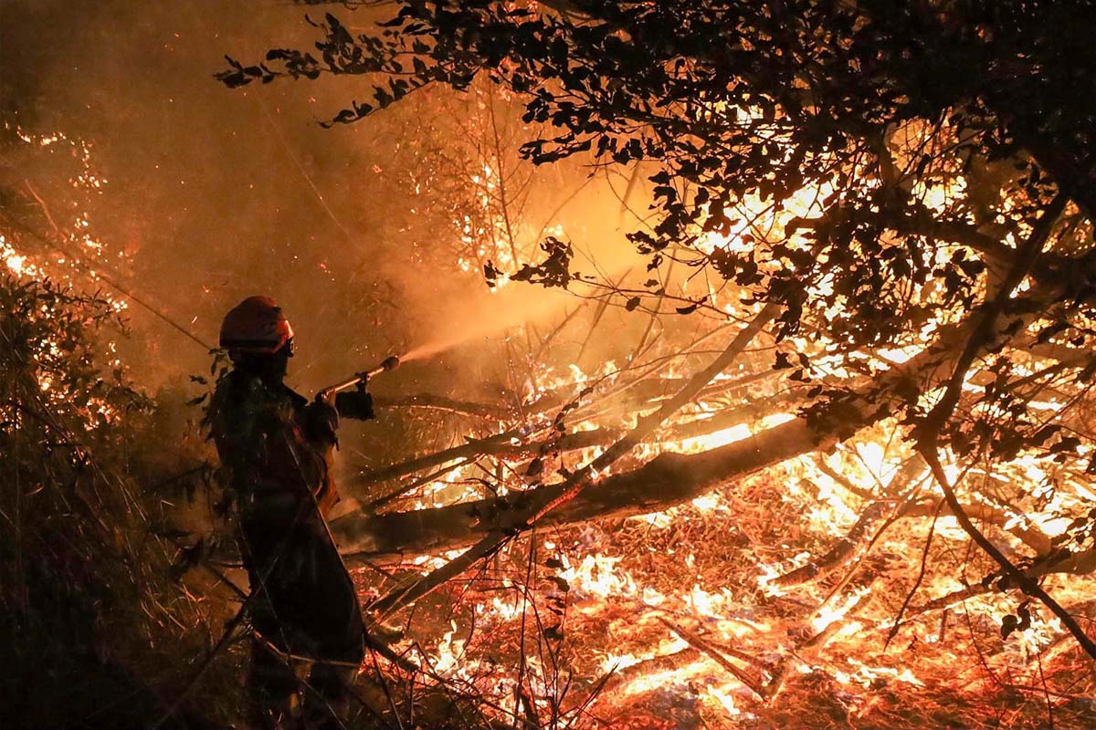 Você está visualizando atualmente Combate a incêndios no Pantanal: 2 focos permanecem ativos e 92 bombeiros em ação