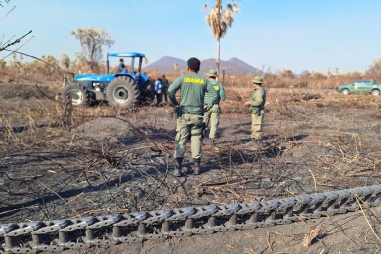 Ibama embarga 4,5 mil hectares e aplica multas de R$ 2 milhões no Pantanal