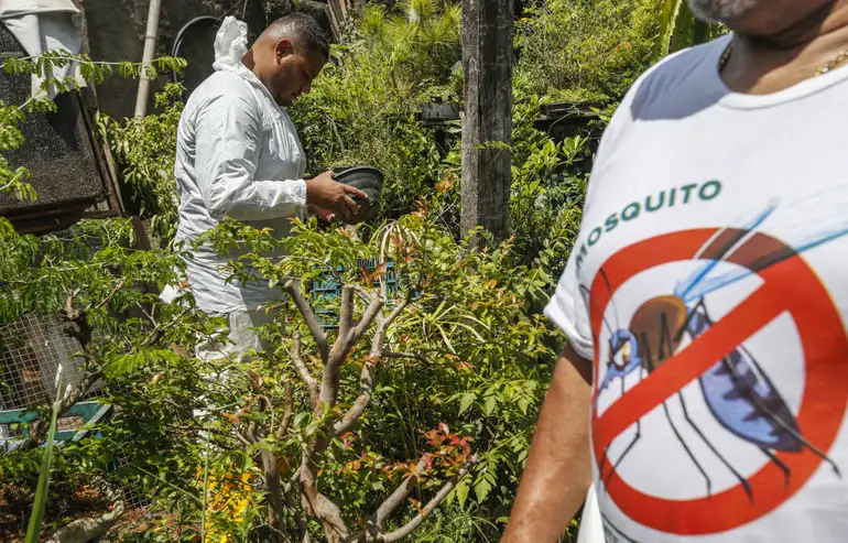 mutirão contra a dengue