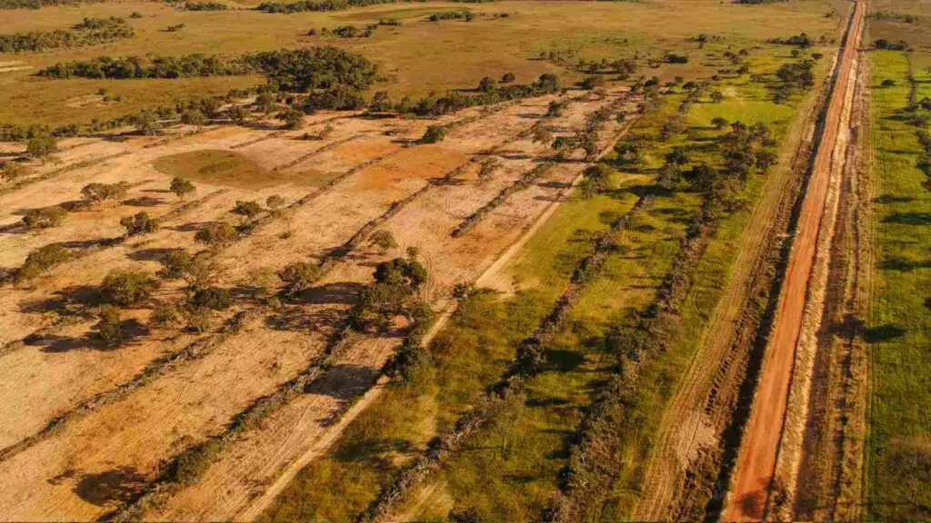 estrada pantanal 1024x576 1