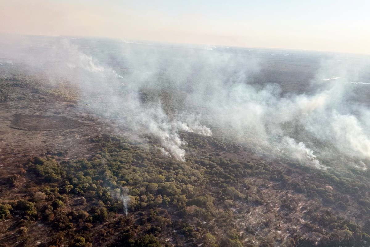 Leia mais sobre o artigo Focos de incêndios diminuem, mas situação ainda é crítica no Pantanal