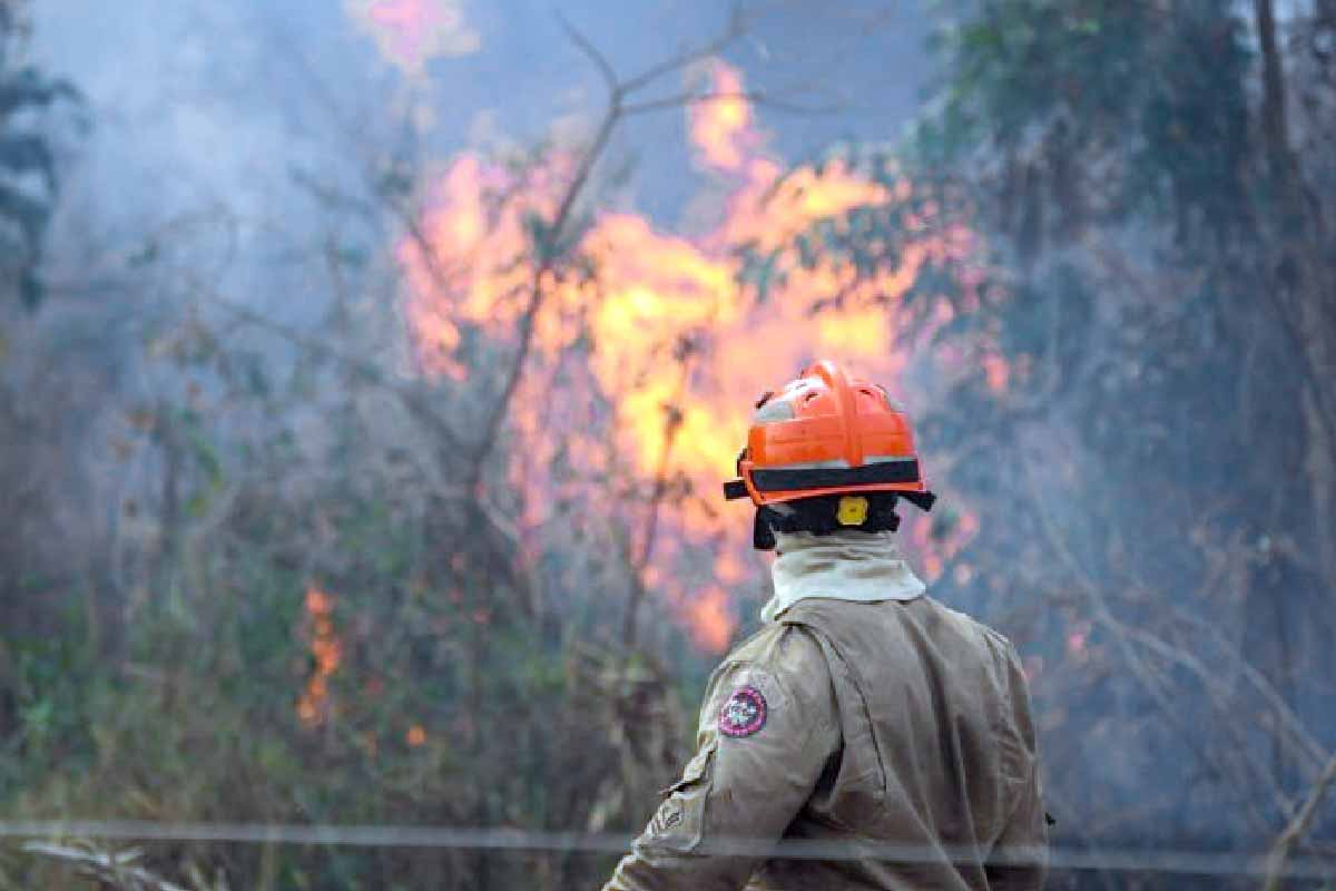 Leia mais sobre o artigo Bombeiros travam batalha contra o fogo para conter incêndio na região do Nabileque