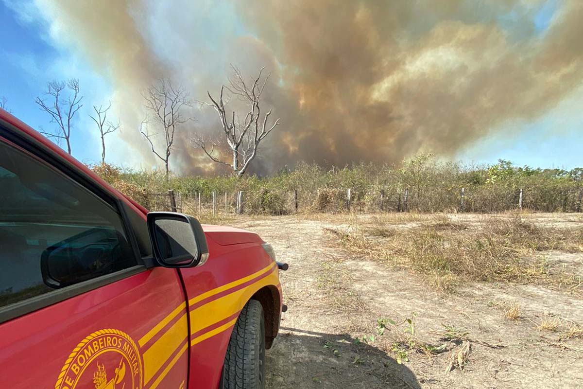 Leia mais sobre o artigo Sete focos de incêndio mobilizam forças de combate no Pantanal
