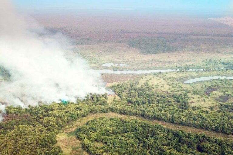 MPMS apura causas de incêndios florestais iniciados em 3 fazendas de Corumbá