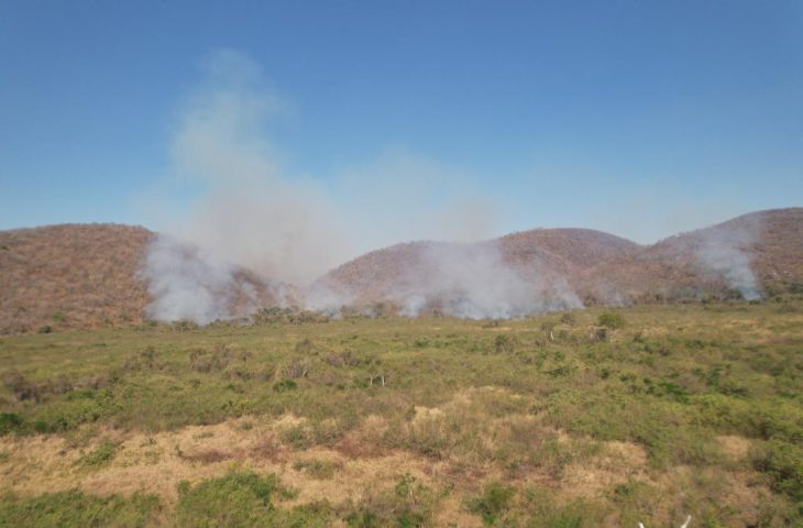Bombeiros atuam há quatro dias para conter incêndio iniciado por caminhão e monitoram foco na Bolívia 2 queimadas pantanal