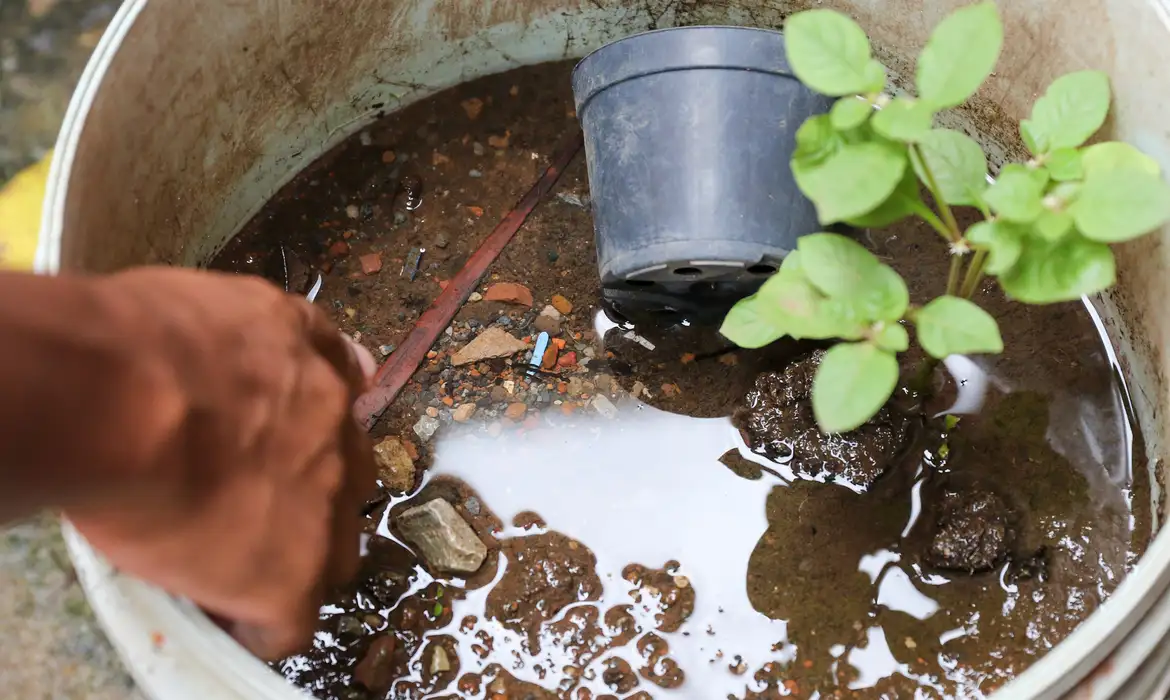 Leia mais sobre o artigo Brasil ultrapassa marca de 5 mil mortes por dengue