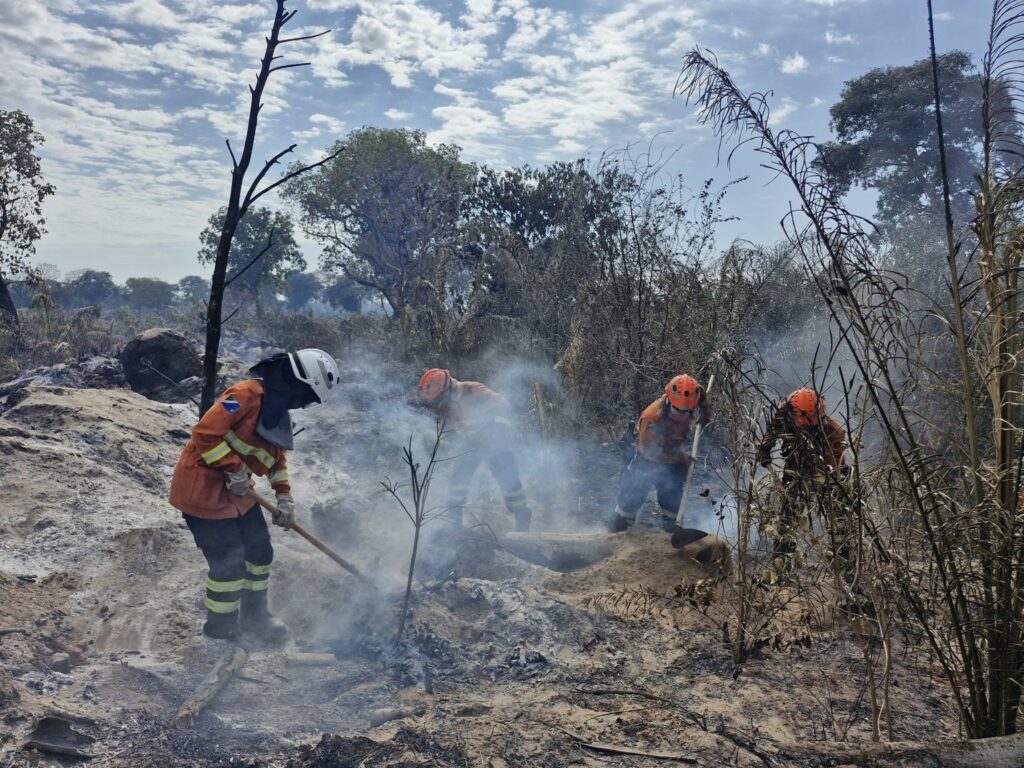 Tenente Solano Foto Arquivo Pessoal 2 1536x1152 1 combate a incêndios