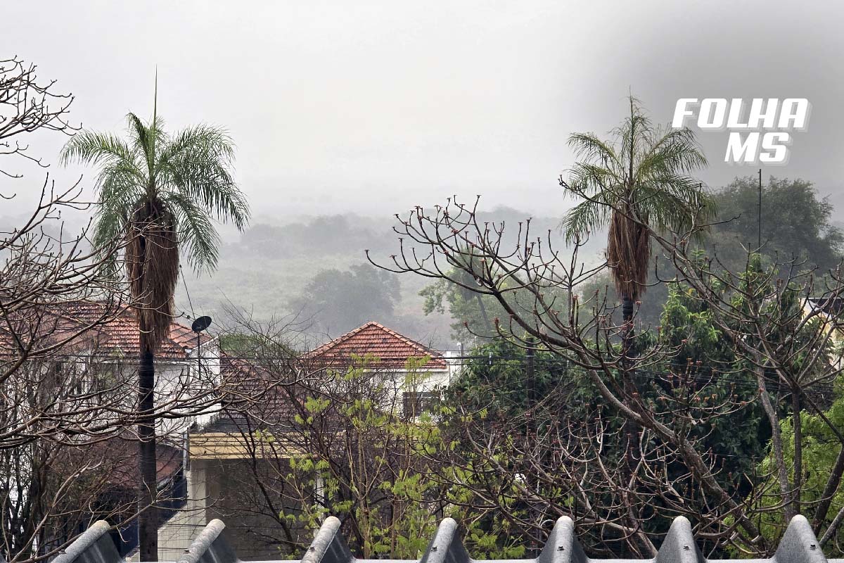 Leia mais sobre o artigo Pantanal: Frente fria traz chuva e esperança na luta contra os incêndios