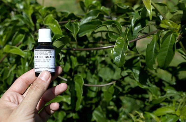 Assinatura no Meeting Nacional inicia projeto Farmácia Viva em MS