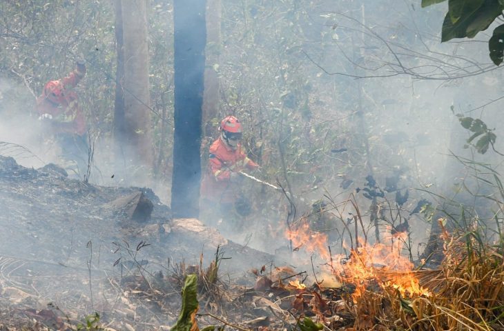 Pantanal segue com oito focos ativos mesmo após semana de frio e chuva em MS