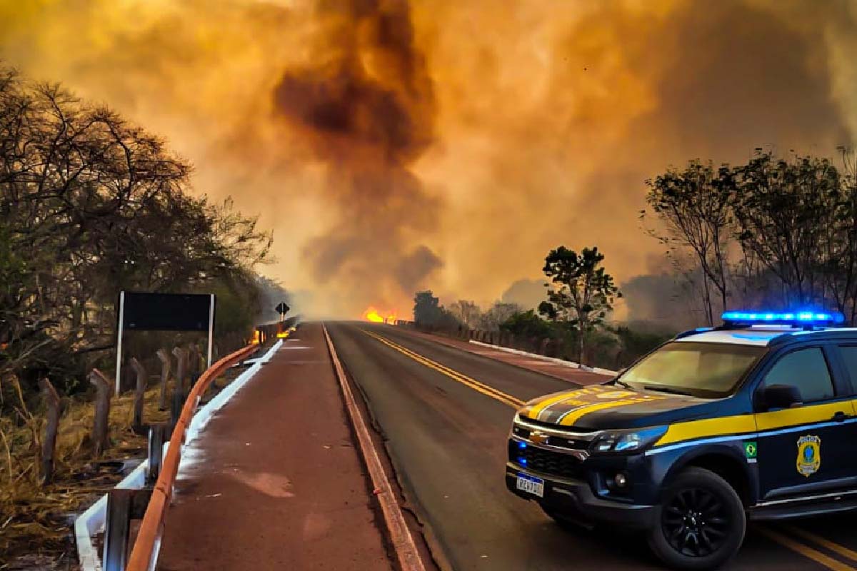 Você está visualizando atualmente Incêndios as margens da BR-262 demanda atenção redobrada alerta PRF