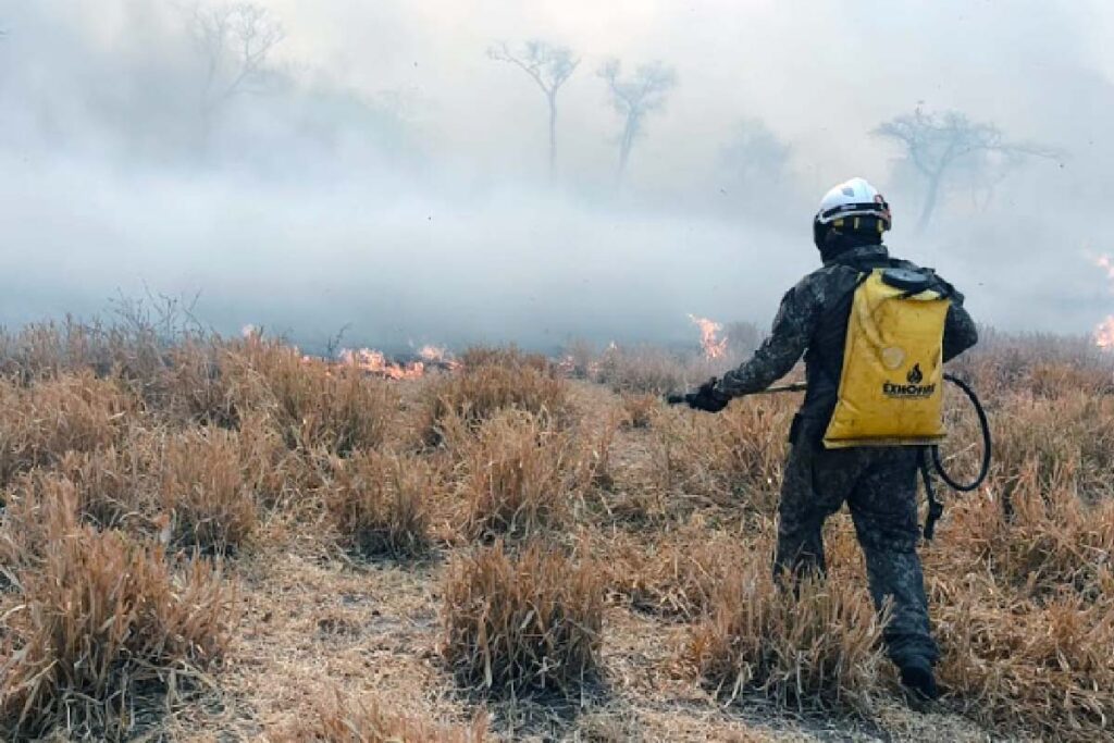 Incêndios as margens da BR-262 demanda atenção redobrada alerta PRF 2 fogo serra amolar