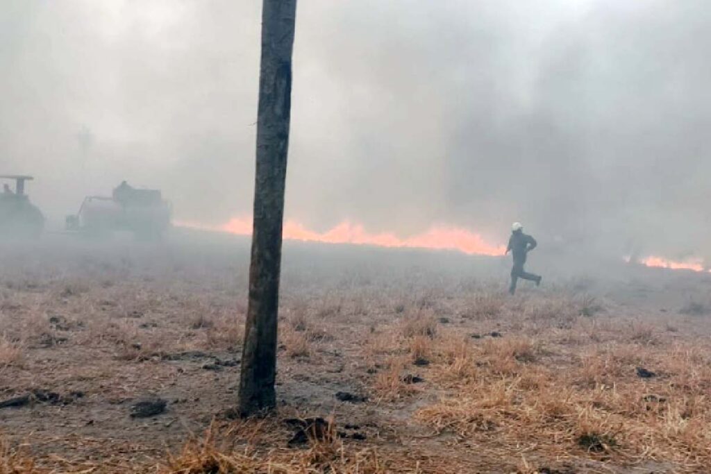 Incêndios as margens da BR-262 demanda atenção redobrada alerta PRF 3 fogo serra amolar2